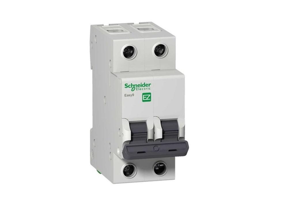 TERMICA EASY9 BIPOLAR 2x 10A EASY9 SCHNEIDER