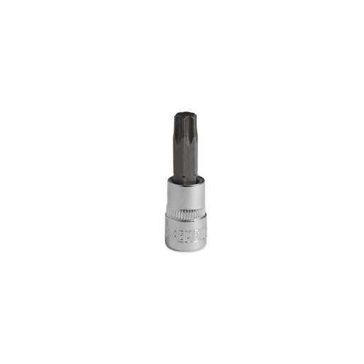[8430-BREMEN] BOC.PUNTA Enc.1/4" TORX - T40 x 38mm BREMEN
